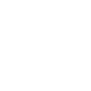 Wired outline 61 camera